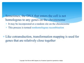  Sometimes, the DNA that enters the cell is not
homologous to any genes on the chromosome
 It may be incorporated at a random site on the chromosome
 This process is termed nonhomologous recombination
 Like cotransduction, transformation mapping is used for
genes that are relatively close together
Copyright ©The McGraw-Hill Companies, Inc. Permission required for reproduction or display
 