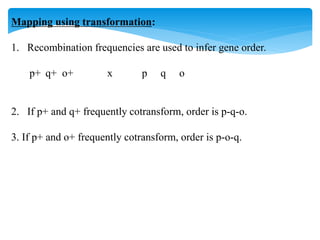 Mapping using transformation:
1. Recombination frequencies are used to infer gene order.
p+ q+ o+ x p q o
2. If p+ and q+ frequently cotransform, order is p-q-o.
3. If p+ and o+ frequently cotransform, order is p-o-q.
 
