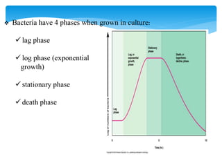  Bacteria have 4 phases when grown in culture:
 lag phase
 log phase (exponential
growth)
 stationary phase
 death phase
 