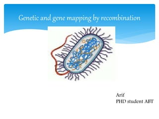 Genetic and gene mapping by recombination
Arif
PHD student ABT
 