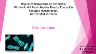Republica Bolivariana de Venezuela 
Ministerio del Poder Popular Para La Educación 
Facultad Humanidades 
Universidad Yacambu 
Noris Cordero 
HPS:133-00606 
V-25604392 
Cromosomas 
 