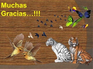 Muchas
Gracias…!!!
 