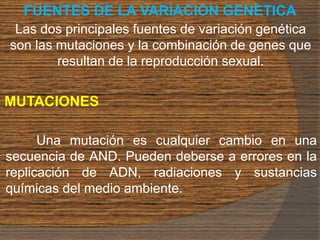 FUENTES DE LA VARIACION GENETICA
Las dos principales fuentes de variación genética
son las mutaciones y la combinación de genes que
resultan de la reproducción sexual.
MUTACIONES
Una mutación es cualquier cambio en una
secuencia de AND. Pueden deberse a errores en la
replicación de ADN, radiaciones y sustancias
químicas del medio ambiente.
 