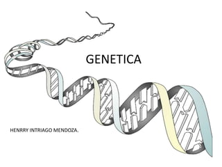 GENETICA

HENRRY INTRIAGO MENDOZA.

 