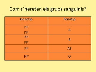 Com s´hereten els grups sanguinis?
Genotip Fenotip
IAIA
IAIO
A
IBIB
IBIO
B
IAIB AB
IOIO O
 