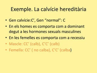 Exemple. La calvície hereditària
• Gen calvície:C’, Gen “normal”: C
• En els homes es comporta com a dominant
degut a les hormones sexuals masculines
• En les femelles es comporta com a recessiu
• Mascle: CC’ (calb), C’C’ (calb)
• Femella: CC’ ( no calba), C’C’ (calba)
 