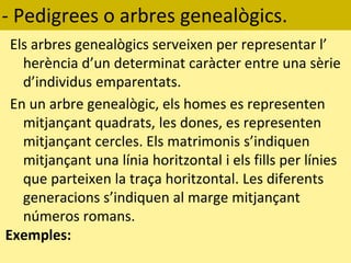 - Pedigrees o arbres genealògics.
Els arbres genealògics serveixen per representar l’
herència d’un determinat caràcter entre una sèrie
d’individus emparentats.
En un arbre genealògic, els homes es representen
mitjançant quadrats, les dones, es representen
mitjançant cercles. Els matrimonis s’indiquen
mitjançant una línia horitzontal i els fills per línies
que parteixen la traça horitzontal. Les diferents
generacions s’indiquen al marge mitjançant
números romans.
Exemples:
 