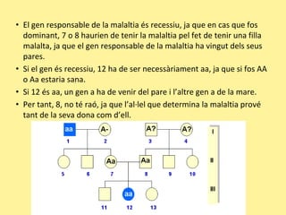 • El gen responsable de la malaltia és recessiu, ja que en cas que fos
dominant, 7 o 8 haurien de tenir la malaltia pel fet de tenir una filla
malalta, ja que el gen responsable de la malaltia ha vingut dels seus
pares.
• Si el gen és recessiu, 12 ha de ser necessàriament aa, ja que si fos AA
o Aa estaria sana.
• Si 12 és aa, un gen a ha de venir del pare i l’altre gen a de la mare.
• Per tant, 8, no té raó, ja que l’al·lel que determina la malaltia prové
tant de la seva dona com d’ell.
 
