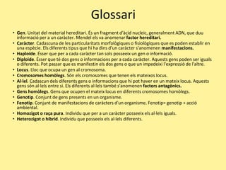 Glossari
• Gen. Unitat del material hereditari. És un fragment d'àcid nucleic, generalment ADN, que duu
informació per a un caràcter. Mendel els va anomenar factor hereditari.
• Caràcter. Cadascuna de les particularitats morfològiques o fisiològiques que es poden establir en
una espècie. Els diferents tipus que hi ha dins d'un caràcter s'anomenen manifestacions.
• Haploide. Ésser que per a cada caràcter tan sols posseeix un gen o informació.
• Diploide. Ésser que té dos gens o informacions per a cada caràcter. Aquests gens poden ser iguals
o diferents. Pot passar que es manifestin els dos gens o que un impedeixi l'expressió de l'altre.
• Locus. Lloc que ocupa un gen al cromosoma.
• Cromosomes homòlegs. Són els cromosomes que tenen els mateixos locus.
• Al·lel. Cadascun dels diferents gens o informacions que hi pot haver en un mateix locus. Aquests
gens són al·lels entre si. Els diferents al·lels també s'anomenen factors antagònics.
• Gens homòlegs. Gens que ocupen el mateix locus en diferents cromosomes homòlegs.
• Genotip. Conjunt de gens presents en un organisme.
• Fenotip. Conjunt de manifestacions de caràcters d'un organisme. Fenotip= genotip + acció
ambiental.
• Homozigot o raça pura. Individu que per a un caràcter posseeix els al·lels iguals.
• Heterozigot o híbrid. Individu que posseeix els al·lels diferents.
 