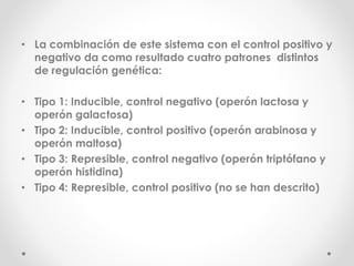 • La combinación de este sistema con el control positivo y
negativo da como resultado cuatro patrones distintos
de regulación genética:
• Tipo 1: Inducible, control negativo (operón lactosa y
operón galactosa)
• Tipo 2: Inducible, control positivo (operón arabinosa y
operón maltosa)
• Tipo 3: Represible, control negativo (operón triptófano y
operón histidina)
• Tipo 4: Represible, control positivo (no se han descrito)
 