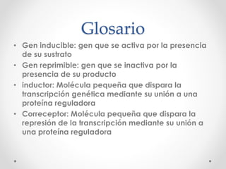 Glosario
• Gen inducible: gen que se activa por la presencia
de su sustrato
• Gen reprimible: gen que se inactiva por la
presencia de su producto
• inductor: Molécula pequeña que dispara la
transcripción genética mediante su unión a una
proteína reguladora
• Correceptor: Molécula pequeña que dispara la
represión de la transcripción mediante su unión a
una proteína reguladora
 