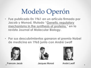 Modelo Operón
• Fue publicado En 1961 en un artículo firmado por
Jacob y Monod, titulado “Genetic regulatory
mechanisms in the synthesis of proteins.” en la
revista Journal of Molecular Biology.
• Por sus descubrimientos ganaron el premio Nobel
de medicina en 1965 junto con André Lwoff
Francois Jacob Jacques Monod André Lwoff
 