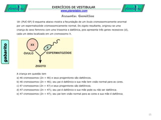 Assunto: Genética
EXERCÍCIOS DE VESTIBULAR
www.planetabio.com
18- (PUC-SP) O esquema abaixo mostra a fecundação de um óvulo cromossomicamente anormal
por um espermatozóide cromossomicamente normal. Do zigoto resultante, originou-se uma
criança do sexo feminino com uma trissomia e daltônica, pois apresenta três genes recessivos (d),
cada um deles localizado em um cromossomo X.
A criança em questão tem
a) 46 cromossomos (2n = 46) e seus progenitores são daltônicos.
b) 46 cromossomos (2n = 46); seu pai é daltônico e sua mãe tem visão normal para as cores.
c) 47 cromossomos (2n = 47) e seus progenitores são daltônicos.
d) 47 cromossomos (2n = 47); seu pai é daltônico e sua mãe pode ou não ser daltônica.
e) 47 cromossomos (2n = 47); seu pai tem visão normal para as cores e sua mãe é daltônica.
15
gabarito
 