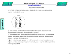 Assunto: Genética
EXERCÍCIOS DE VESTIBULAR
www.planetabio.com
20- (UFABC) O esquema representa uma célula-mãe do grão de pólen que possui a
seguinte distribuição de genes:
a) Quais serão os genótipos dos micrósporos formados a partir dessa célula-mãe,
desconsiderando a ocorrência de crossing-over? Justifique.
b) Considere que todos os micrósporos formados sejam viáveis, isto é, darão origem a
grãos de pólen, e que as sinérgides presentes no óvulo da planta que será polinizada
possuem o genótipo abc. Pergunta-se:
# Qual a probabilidade de aparecer um embrião com pelo menos um alelo dominante?
# Qual o genótipo do endosperma primário formado, caso o segundo núcleo espermático
tenha o genótipo ABC?
17
gabarito
 