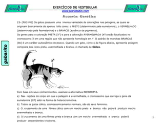 Assunto: Genética
EXERCÍCIOS DE VESTIBULAR
www.planetabio.com
23- (PUC-MG) Os gatos possuem uma imensa variedade de colorações nas pelagens, as quais se
originam basicamente de apenas três cores: o PRETO (determinado pela eumelanina), o VERMELHADO
(determinado pela feomelanina) e o BRANCO (ausência de pigmento).
Os genes para a coloração PRETA (XP) e para a coloração AVERMELHADA (XA) estão localizados no
cromossomo X em uma região que não apresenta homologia em Y. O padrão de manchas BRANCAS
(bb) é um caráter autossômico recessivo. Quando um gato, como o da figura abaixo, apresenta pelagem
composta das cores preta, avermelhada e branca, é chamado de Cálico.
Com base em seus conhecimentos, assinale a alternativa INCORRETA.
a) Nas regiões do corpo em que a pelagem é avermelhada, o cromossomo que carrega o gene da
eumelanina (XP) está na forma de heterocromatina.
b) Todos os gatos cálico, cromossomicamente normais, são do sexo feminino.
c) O cruzamento de uma fêmea cálico com um macho preto e branco não poderá produzir macho
avermelhado e branco.
d) O cruzamento de uma fêmea preta e branca com um macho avermelhado e branco poderá
produzir descendentes tricolores.
19
gabarito
 