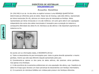 Assunto: Genética
EXERCÍCIOS DE VESTIBULAR
www.planetabio.com
24- (PUC-MG) A cor da íris dos olhos na espécie humana é uma HERANÇA QUANTITATIVA
determinada por diferentes pares de alelos. Nesse tipo de herança, cada alelo efetivo, representado
por letras maiúsculas (N e B), adiciona um mesmo grau de intensidade ao fenótipo. Alelos
representados por letras minúsculas (n e b) são inefetivos. Um outro gene alelo A com segregação
independente dos outros dois alelos mencionados é necessário para a produção de melanina e
consequente efetividade dos alelos N e B. Indivíduos aa são albinos e não depositam pigmentos de
melanina na íris.
De acordo com as informações dadas, é INCORRETO afirmar:
a) Todos os descendentes de pais homozigotos para todos os genes deverão apresentar o mesmo
genótipo, mesmo que este seja diferente daquele apresentado pelos pais.
b) Considerando-se apenas os dois pares de alelos aditivos, são possíveis vários genótipos,
mas apenas cinco fenótipos.
c) A não-ocorrência de cruzamentos preferenciais em uma população não albina, cuja freqüência de
alelos N e B seja igual, favorece um maior percentual de descendentes com fenótipo intermediário.
d) O cruzamento de indivíduos NnBbAa com nnbbaa pode produzir oito fenótipos diferentes. 20
gabarito
 