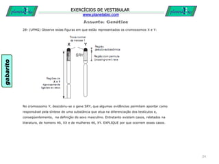 Assunto: Genética
EXERCÍCIOS DE VESTIBULAR
www.planetabio.com
28- (UFMG) Observe estas figuras em que estão representados os cromossomos X e Y:
No cromossomo Y, descobriu-se o gene SRY, que algumas evidências permitem apontar como
responsável pela síntese de uma substância que atua na diferenciação dos testículos e,
conseqüentemente, na definição do sexo masculino. Entretanto existem casos, relatados na
literatura, de homens 46, XX e de mulheres 46, XY. EXPLIQUE por que ocorrem esses casos.
24
gabarito
 