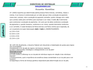 Assunto: Genética
EXERCÍCIOS DE VESTIBULAR
www.planetabio.com
37- (UECE) Suponha que determinada planta produza flores brancas, vermelhas, róseas e
cremes. A cor branca é condicionada por um alelo (a) que inibe a produção do pigmento
creme sem, contudo, inibir a produção do pigmento vermelho; porém interage com o alelo
que o produz (alelo para vermelho) para expressar a cor rósea. O alelo (A) é dominante
para condicionar a produção de pigmentos. Um outro par de alelos condiciona a produção
de pigmentos e, quando recessivo, condiciona a cor creme; quando dominante condiciona
a cor vermelha. A razão fenotípica de flores brancas e de flores cremes que é esperada, de
um cruzamento do duplo heterozigoto AaCc X AaCc é, RESPECTIVAMENTE:
a) 1/16 e 3/16
b) 3/16 e 1/16
c) 3/16 e 3/16
d) 1/16 e 1/16
30
38- (UFC-CE) Atualmente, o Governo Federal vem discutindo a implantação de quotas para negros
nas universidades.
Considerando a cor da pele de negros e de brancos responda:
a) Onde é determinada, histológica e citologicamente a cor da pele?
Histologicamente:
Citologicamente:
b) O que confere a diferença na cor da pele de indivíduos negros em relação à dos indivíduos
brancos?
c) Evolutivamente, qual a importância da existência dessa variabilidade na cor da pele para o ser
humano?
d) Especifique a forma de herança genética responsável pela determinação da cor da pele.
gabarito
 