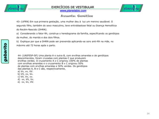 Assunto: Genética
EXERCÍCIOS DE VESTIBULAR
www.planetabio.com
43- (UFRN) Em sua primeira gestação, uma mulher deu à luz um menino saudável. O
segundo filho, também do sexo masculino, teve eritroblastose fetal ou Doença Hemolítica
do Recém-Nascido (DHRN).
a) Considerando o fator Rh, construa o heredograma da família, especificando os genótipos
da mulher, do marido e dos dois filhos.
b) Explique por que a DHRN pode ser prevenida aplicando-se soro anti-Rh na mãe, no
máximo até 72 horas após o parto.
34
44- (UNIFESP-SP) Uma planta A e outra B, com ervilhas amarelas e de genótipos
desconhecidos, foram cruzadas com plantas C que produzem
ervilhas verdes. O cruzamento A x C originou 100% de plantas
com ervilhas amarelas e o cruzamento B x C originou 50%
de plantas com ervilhas amarelas e 50% verdes. Os genótipos
das plantas A, B e C são, respectivamente,
a) Vv, vv, VV.
b) VV, vv, Vv.
c) VV, Vv, vv.
d) vv, VV, Vv.
e) vv, Vv, VV.
gabarito
 