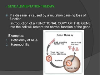1. GENE AUGMENTATION THERAPY:
 If a disease is caused by a mutation causing loss of
function,
introduction of a FUNCTIONAL COPY OF THE GENE
into the cell will restore the normal function of the gene.
Examples:
1. Deficiency of ADA
2. Haemophilia
 