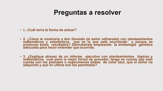 Preguntas a resolver
• 1. ¿Cuál sería la forma de actuar?
• 2. ¿Cómo le mostraría a don Gonzalo (el señor adinerado) con planteamientos
matemáticos y estadísticos que es lo que está ocurriendo y porque se
producen éstos resultados? Demuéstrele empleando la simbología genética
adecuada para hacer entender que ocurrido.
• 3. ¿Explique atravez de un informe ejecutivo con planteamientos lógicos y
matemáticos cual sería la mejor forma de proceder, tenga en cuenta que solo
cuenta con los padrotes o especímenes dados de color azul, que el señor ha
adquirido y que en ultima son los parentales?
 