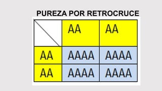 PUREZA POR RETROCRUCE
 