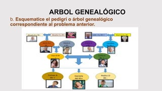 ARBOL GENEALÓGICO
b. Esquematice el pedigrí o árbol genealógico
correspondiente al problema anterior.
 