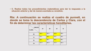 • C. Realice todos los procedimientos matemáticos para dar la respuesta a la
situación anterior y dar de manera acertada su veredicto.
Rta: A continuación se realiza el cuadro de punnett, en
donde se toma la descendencia de Carlos y Clara, con el
fin de determinar las características hereditarias.
CARLOS
CLARA
A+ B+ A+ B-
B+
AB++ BB++ AB++ BB+-
A-
AA+- AB+- AA+- AB--
B-
AB+- BB-+ AB+- BB--
O+
AO++ BO++ AO++ BO-+
 