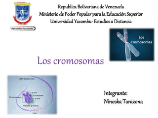 Republica Bolivariana de Venezuela
Ministerio de Poder Popular para la Educación Superior
UniversidadYacambu-Estudios a Distancia
Integrante:
Ninoska Tarazona
Los cromosomas
 