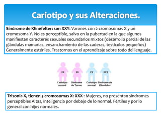 Síndrome de Klinefelter: son XXY: Varones con 2 cromosomas X y un 
cromosoma Y. No es perceptible, salvo en la pubertad en la que algunos 
manifiestan caracteres sexuales secundarios mixtos (desarrollo parcial de las 
glándulas mamarias, ensanchamiento de las caderas, testículos pequeños) 
Generalmente estériles. Trastornos en el aprendizaje sobre todo del lenguaje. 
Trisonía X, tienen 3 cromosomas X: XXX : Mujeres, no presentan síndromes 
perceptibles Altas, inteligencia por debajo de lo normal. Fértiles y por lo 
general con hijos normales. 
 