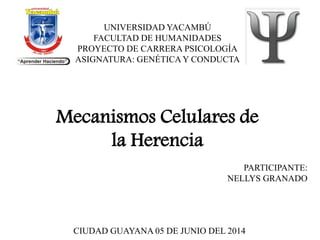 UNIVERSIDAD YACAMBÚ
FACULTAD DE HUMANIDADES
PROYECTO DE CARRERA PSICOLOGÍA
ASIGNATURA: GENÉTICA Y CONDUCTA
PARTICIPANTE:
NELLYS GRANADO
Mecanismos Celulares de
la Herencia
CIUDAD GUAYANA 05 DE JUNIO DEL 2014
 