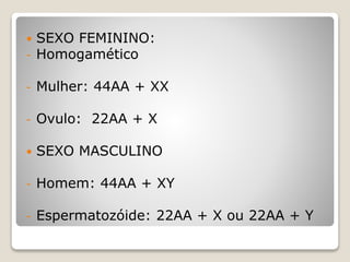  SEXO FEMININO:
- Homogamético
- Mulher: 44AA + XX
- Ovulo: 22AA + X
 SEXO MASCULINO
- Homem: 44AA + XY
- Espermatozóide: 22AA + X ou 22AA + Y
 