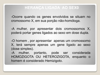 HERANÇA LIGADA AO SEX0
-Ocorre quando os genes envolvidos se situam no
cromossomo X, em sua porção não-homóloga.
-A mulher, por apresentar dois cromossomos X,
poderá portar genes ligados ao sexo em dose dupla.
-O homem , por apresentar apenas um cromossomo
X, terá sempre apenas um gene ligado ao sexo
(dose simples).
-A mulher, portanto, pode ser considerada
HOMOZIGOTA OU HETEROZIGOTA, enquanto o
homem é considerado Hemizigoto.
 