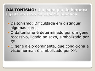 DALTONISMO: Um exemplo de herança
ligada ao sexo na espécie humana
 Daltonismo: Dificuldade em distinguir
algumas cores.
 O daltonismo é determinado por um gene
recessivo, ligado ao sexo, simbolizado por
Xd
 O gene alelo dominante, que condiciona a
visão normal, é simbolizado por XD.
 