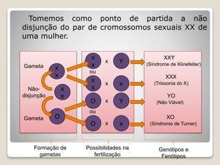 Tomemos como ponto de partida a não
disjunção do par de cromossomos sexuais XX de
uma mulher.
Gameta x
x
x
x
O
Não-
disjunção
Gameta
x
x
x
x
O
O
Y
x
Y
x
XXY
(Síndrome de Klinefelter)
XXX
(Trissonia do X)
YO
(Não Viável)
XO
(Síndrome de Turner)
Formação de
gametas
Possibilidades na
fertilização
Genótipos e
Fenótipos
ou
ou
x
x
x
x
 