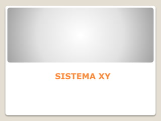 SISTEMA XY
 