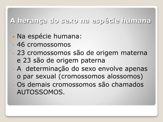 A herança do sexo na espécie humana
 Na espécie humana:
- 46 cromossomos
- 23 cromossomos são de origem materna
e 23 são de origem paterna
- A determinação do sexo envolve apenas
o par sexual (cromossomos alossomos)
- Os demais cromossomos são chamados
AUTOSSOMOS.
 