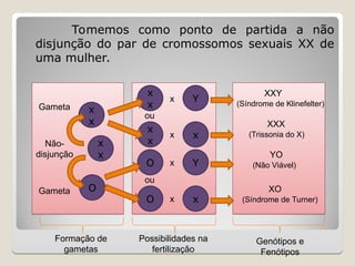 Tomemos como ponto de partida a não
disjunção do par de cromossomos sexuais XX de
uma mulher.
Gameta x
x
x
x
O
Não-
disjunção
Gameta
x
x
x
x
O
O
Y
x
Y
x
XXY
(Síndrome de Klinefelter)
XXX
(Trissonia do X)
YO
(Não Viável)
XO
(Síndrome de Turner)
Formação de
gametas
Possibilidades na
fertilização
Genótipos e
Fenótipos
ou
ou
x
x
x
x
 