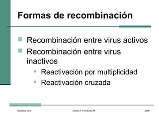 Genética Viral Carlos A. Fernández M. 2008
Formas de recombinación
 Recombinación entre virus activos
 Recombinación entre virus
inactivos
 Reactivación por multiplicidad
 Reactivación cruzada
 