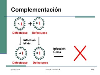 Genética Viral Carlos A. Fernández M. 2008
Complementación
Infección
Mixta
Infección
Única
+A B
DefectuosoDefectuoso
A B
DefectuosoDefectuoso
 