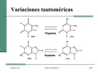 Genética Viral Carlos A. Fernández M. 2008
Variaciones tautoméricas
 
