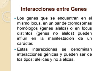 Interacciones entre Genes
 Los genes que se encuentran en el
mismo locus, en un par de cromosomas
homólogos (genes alelos) o en locus
distintos (genes no alelos) pueden
influir en la manifestación de un
carácter.
 Estas interacciones se denominan
interacciones génicas y pueden ser de
los tipos: alélicas y no alélicas.
 