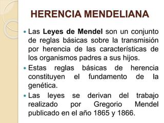 HERENCIA MENDELIANA
 Las Leyes de Mendel son un conjunto
de reglas básicas sobre la transmisión
por herencia de las características de
los organismos padres a sus hijos.
 Estas reglas básicas de herencia
constituyen el fundamento de la
genética.
 Las leyes se derivan del trabajo
realizado por Gregorio Mendel
publicado en el año 1865 y 1866.
 