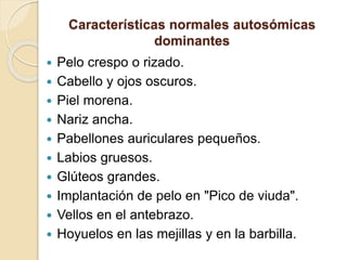 Características normales autosómicas
dominantes
 Pelo crespo o rizado.
 Cabello y ojos oscuros.
 Piel morena.
 Nariz ancha.
 Pabellones auriculares pequeños.
 Labios gruesos.
 Glúteos grandes.
 Implantación de pelo en "Pico de viuda".
 Vellos en el antebrazo.
 Hoyuelos en las mejillas y en la barbilla.
 
