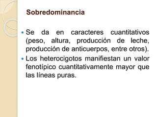Sobredominancia
 Se da en caracteres cuantitativos
(peso, altura, producción de leche,
producción de anticuerpos, entre otros).
 Los heterocigotos manifiestan un valor
fenotípico cuantitativamente mayor que
las líneas puras.
 