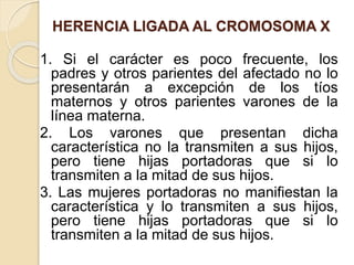 HERENCIA LIGADA AL CROMOSOMA X
1. Si el carácter es poco frecuente, los
padres y otros parientes del afectado no lo
presentarán a excepción de los tíos
maternos y otros parientes varones de la
línea materna.
2. Los varones que presentan dicha
característica no la transmiten a sus hijos,
pero tiene hijas portadoras que si lo
transmiten a la mitad de sus hijos.
3. Las mujeres portadoras no manifiestan la
característica y lo transmiten a sus hijos,
pero tiene hijas portadoras que si lo
transmiten a la mitad de sus hijos.
 