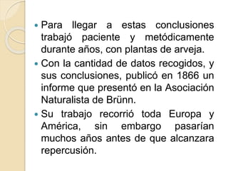  Para llegar a estas conclusiones
trabajó paciente y metódicamente
durante años, con plantas de arveja.
 Con la cantidad de datos recogidos, y
sus conclusiones, publicó en 1866 un
informe que presentó en la Asociación
Naturalista de Brünn.
 Su trabajo recorrió toda Europa y
América, sin embargo pasarían
muchos años antes de que alcanzara
repercusión.
 