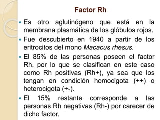 Factor Rh
 Es otro aglutinógeno que está en la
membrana plasmática de los glóbulos rojos.
 Fue descubierto en 1940 a partir de los
eritrocitos del mono Macacus rhesus.
 El 85% de las personas poseen el factor
Rh, por lo que se clasifican en este caso
como Rh positivas (Rh+), ya sea que los
tengan en condición homocigota (++) o
heterocigota (+-).
 El 15% restante corresponde a las
personas Rh negativas (Rh-) por carecer de
dicho factor.
 