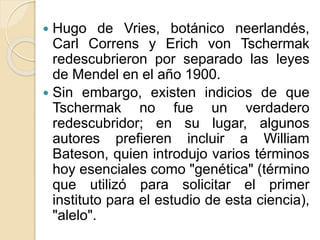  Hugo de Vries, botánico neerlandés,
Carl Correns y Erich von Tschermak
redescubrieron por separado las leyes
de Mendel en el año 1900.
 Sin embargo, existen indicios de que
Tschermak no fue un verdadero
redescubridor; en su lugar, algunos
autores prefieren incluir a William
Bateson, quien introdujo varios términos
hoy esenciales como "genética" (término
que utilizó para solicitar el primer
instituto para el estudio de esta ciencia),
"alelo".
 