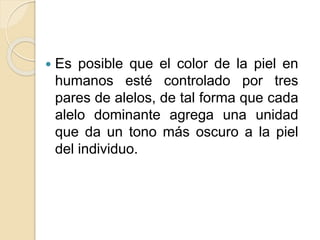  Es posible que el color de la piel en
humanos esté controlado por tres
pares de alelos, de tal forma que cada
alelo dominante agrega una unidad
que da un tono más oscuro a la piel
del individuo.
 